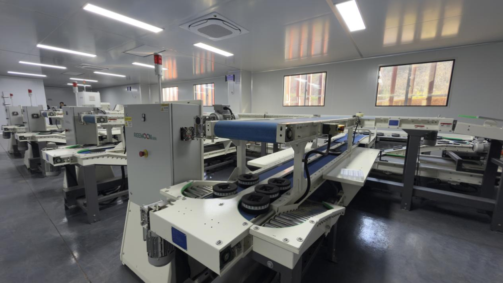 掌沃数农鲜果分拣中心