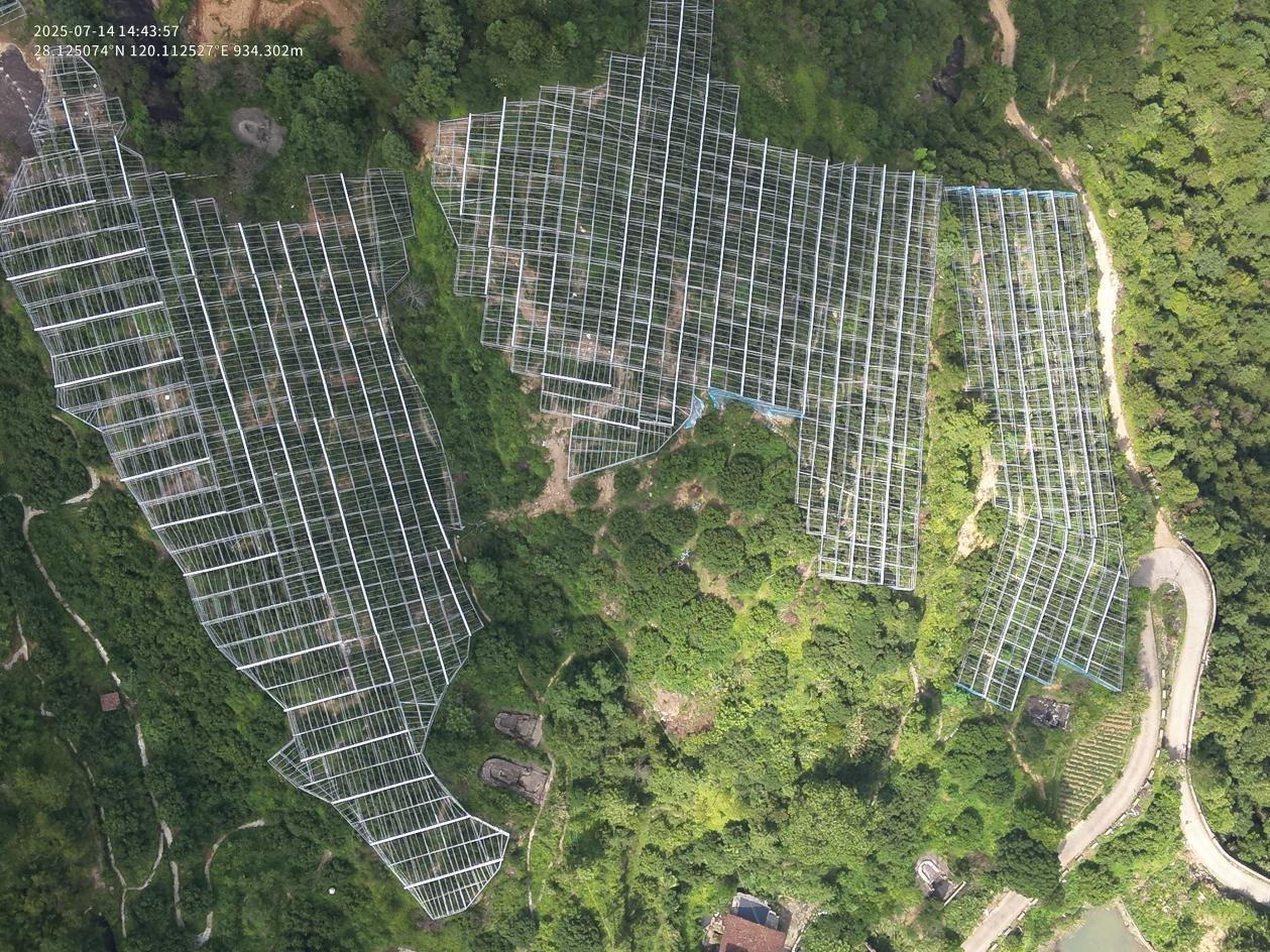 现代化杨梅种植基地